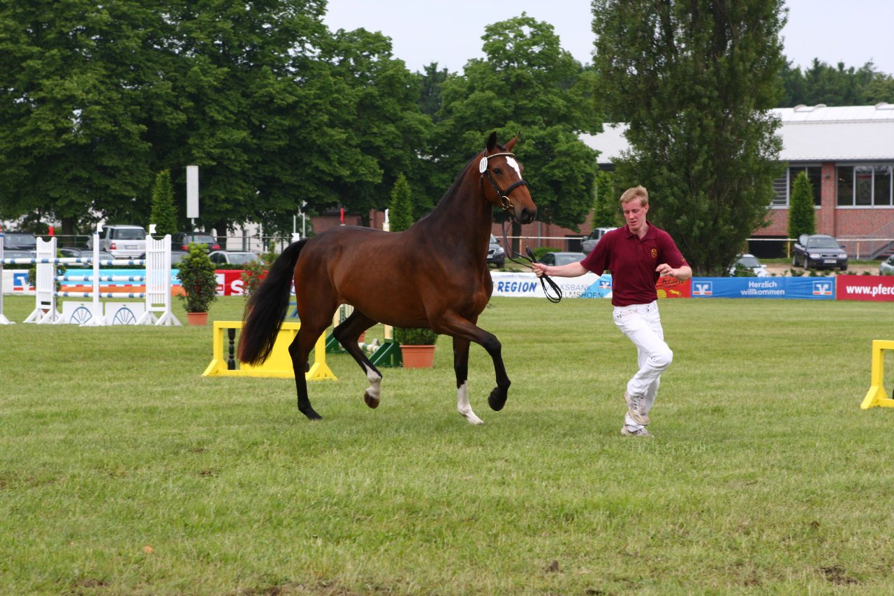 Bild 124 - Elmshorn am 9.6.10